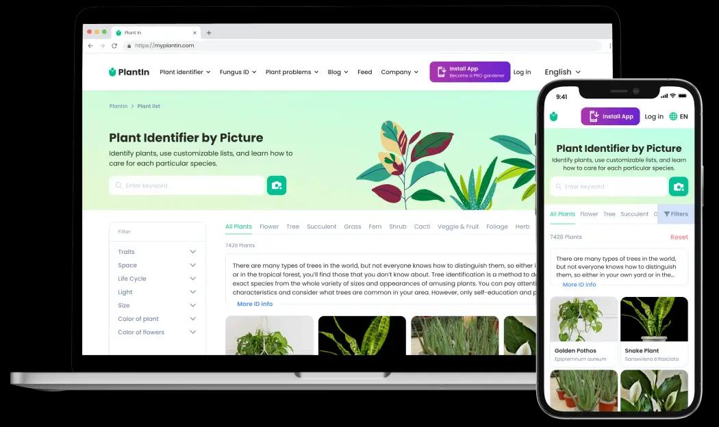 PlantIn Identifiziere Seltene Pflanzen Schnell Und Pr zise PlantIn Identifiziere Seltene Pflanzen Schnell Und Pr zise