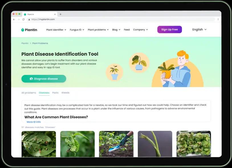 PlantIn Identifica Plantas Raras De Forma R pida Y Exacta PlantIn Identifica Plantas Raras De Forma R pida Y Exacta