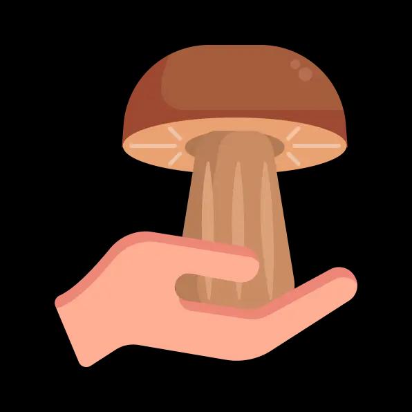 PlantIn Identifica Plantas Raras De Forma R pida Y Exacta PlantIn Identifica Plantas Raras De Forma R pida Y Exacta