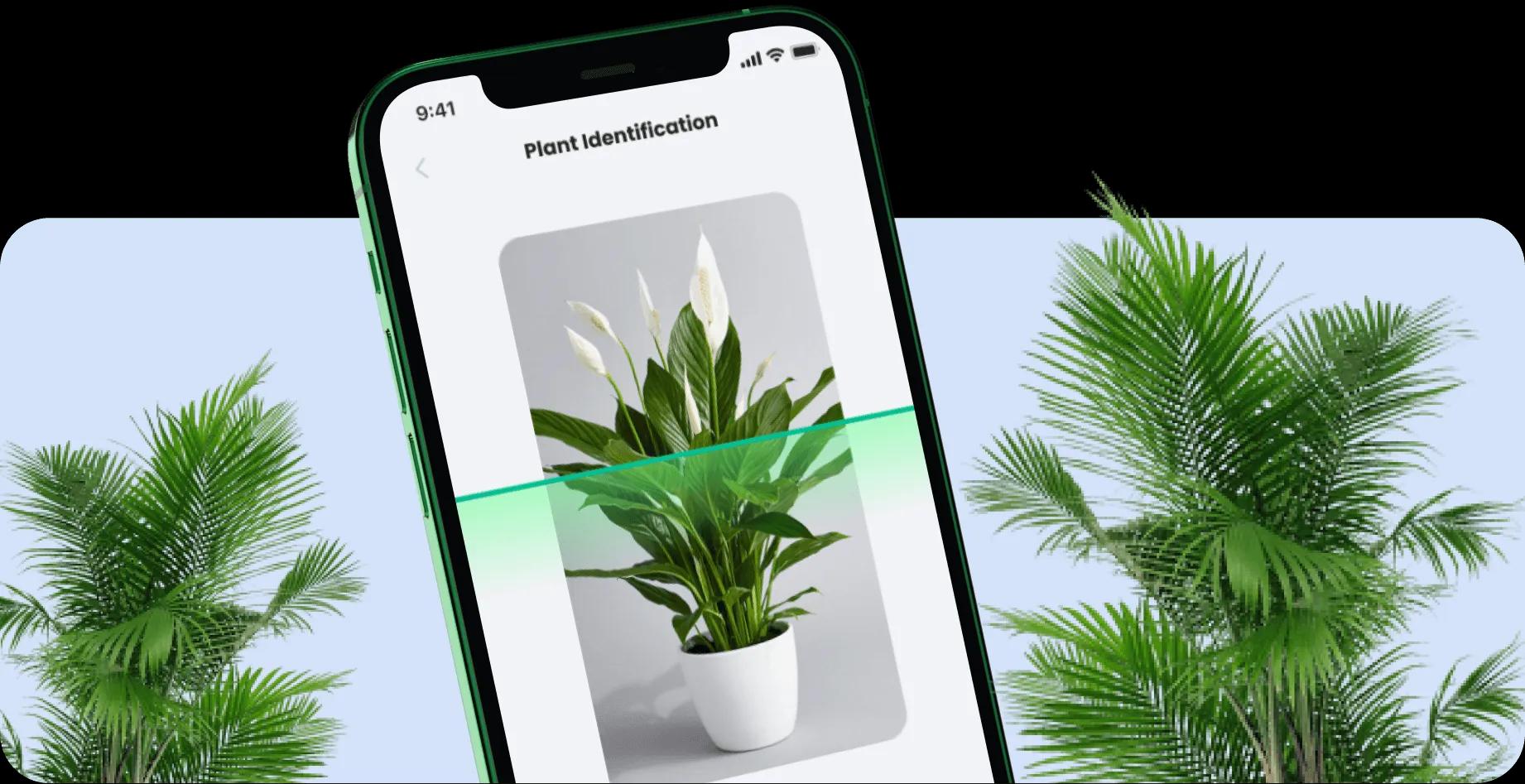 Plantin Plant Identifier App On Appstore Google Play Plantin Plant Identifier App On Appstore Google Play