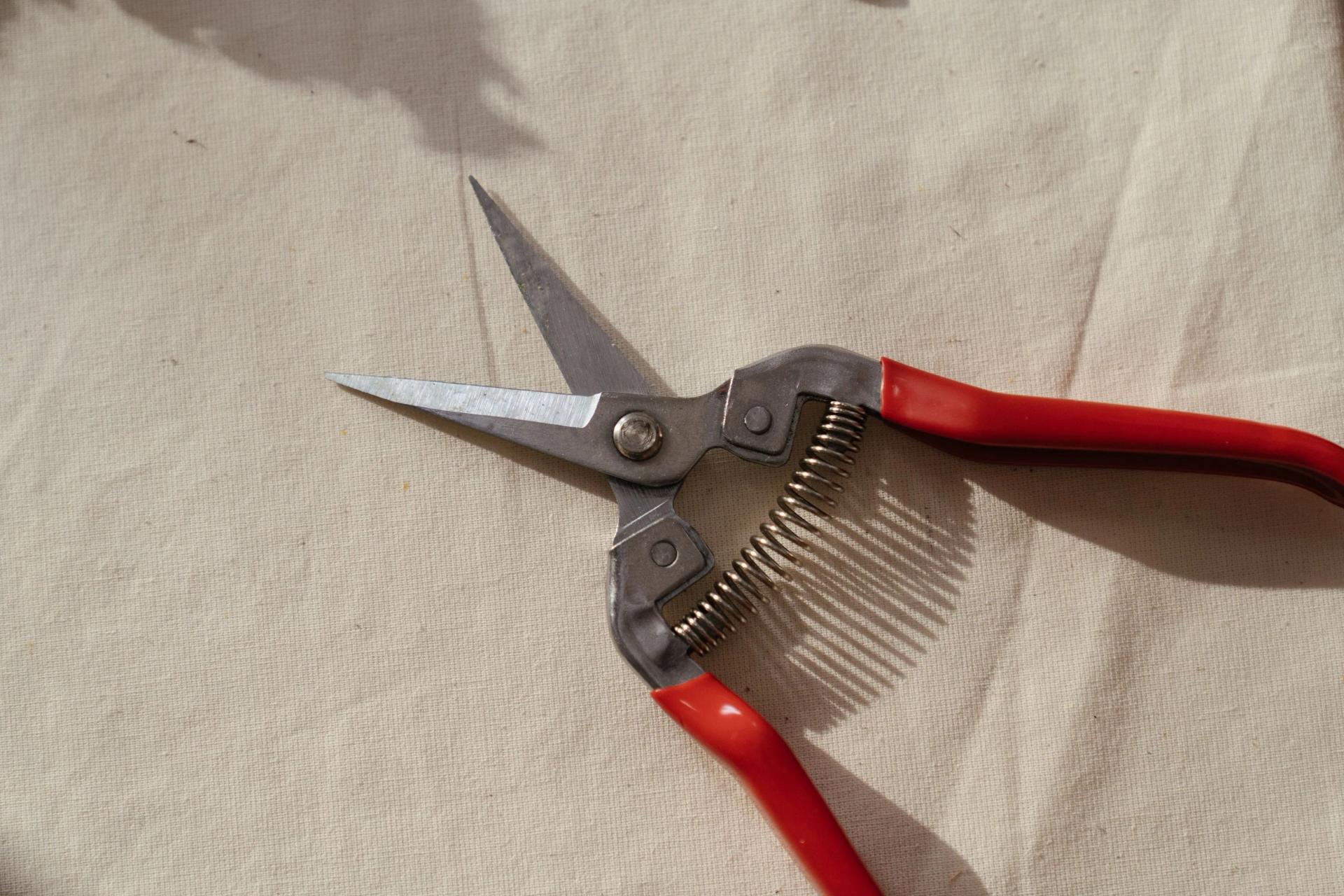 Pruning Scissors