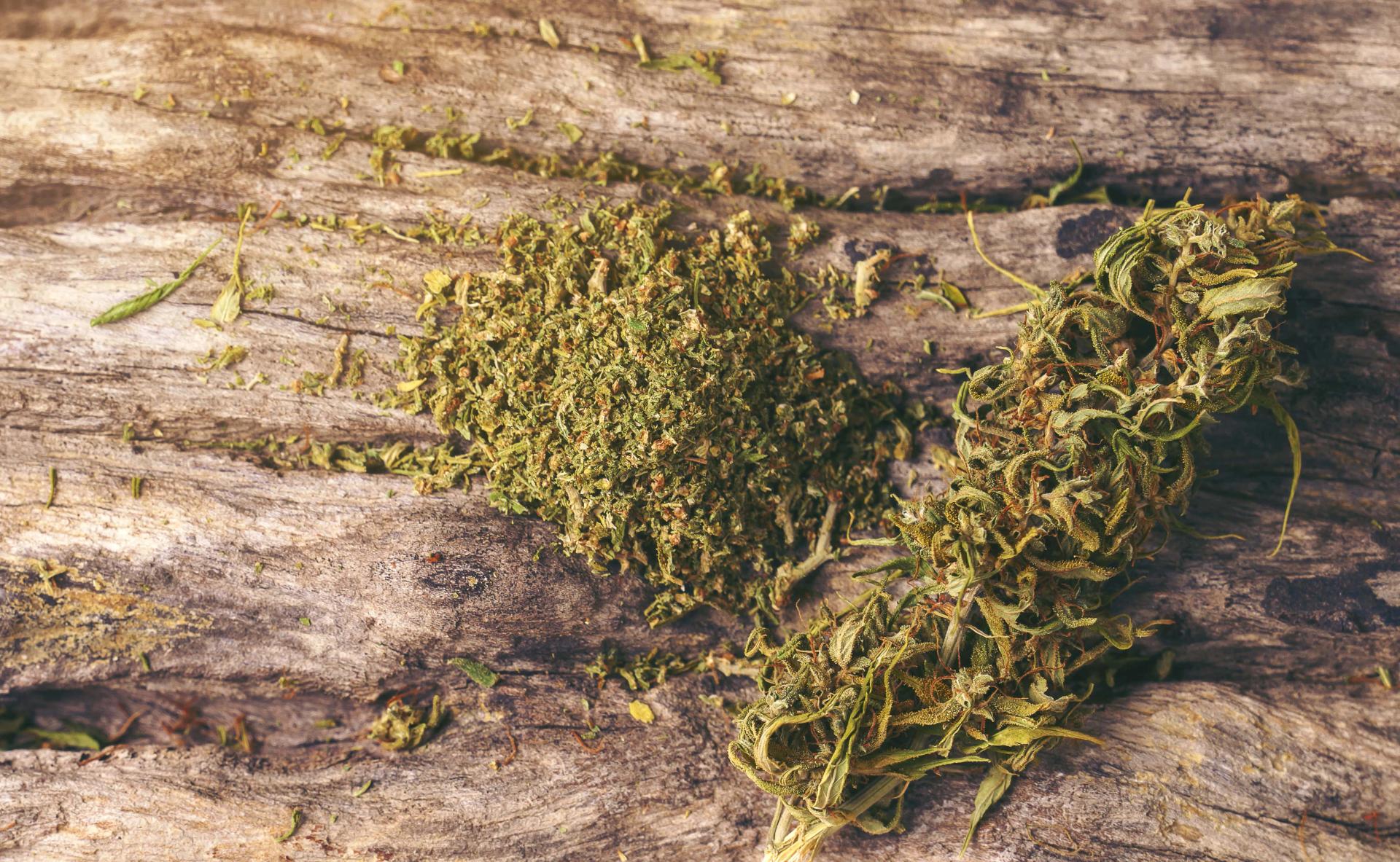 Dried Cannabis on the Wood